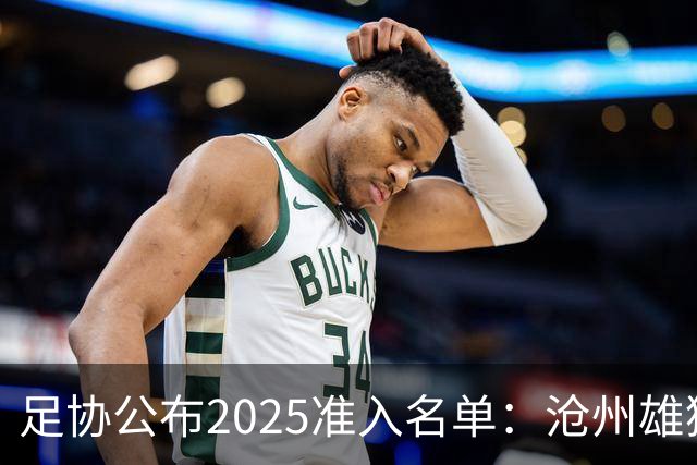 足协公布2025准入名单：沧州雄狮、广州队无缘