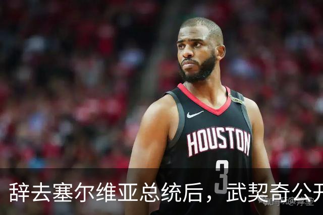 辞去塞尔维亚总统后，武契奇公开作出承诺：不会对俄罗斯实施制裁